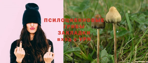 не бодяженный Богданович