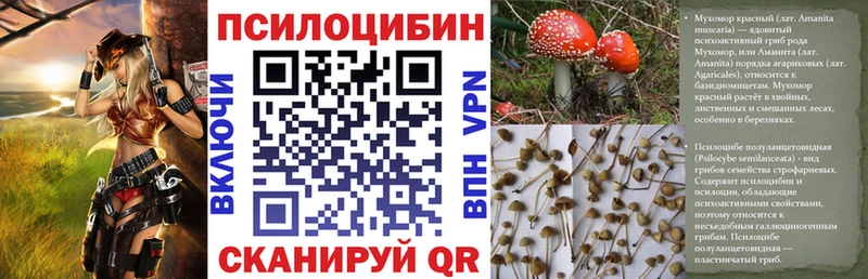купить наркотики цена  Кировград  Галлюциногенные грибы прущие грибы 